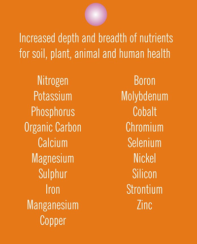 PRODUCTW-FoliarSpray-tracelements Foliar Spray Trace Elements